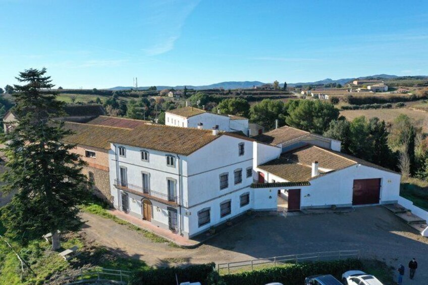 Flexible Penedès Winery Experience with Wine Tasting 3