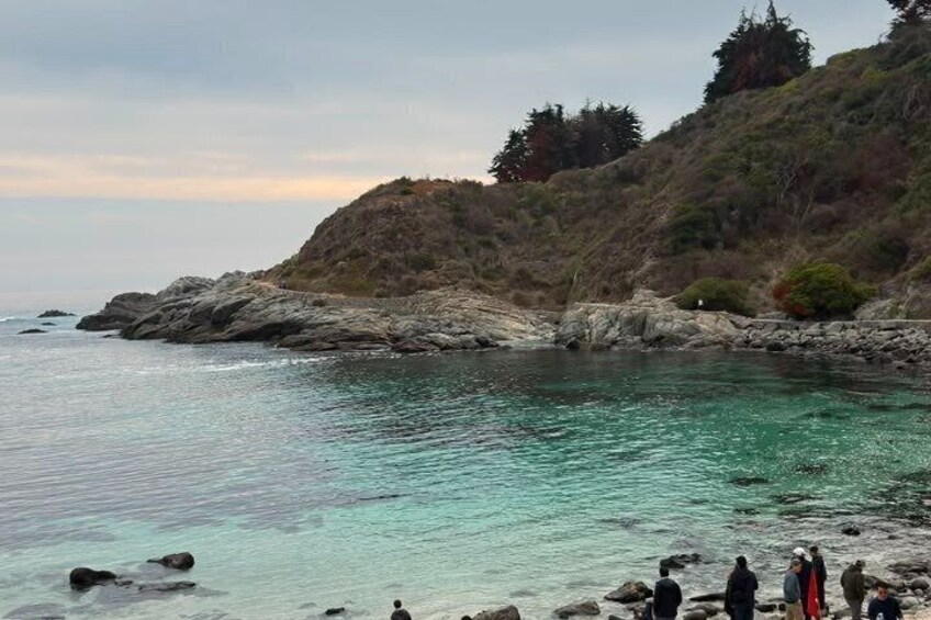 Papudo Winter Tour Horseback Riding and Penguin Watching 3