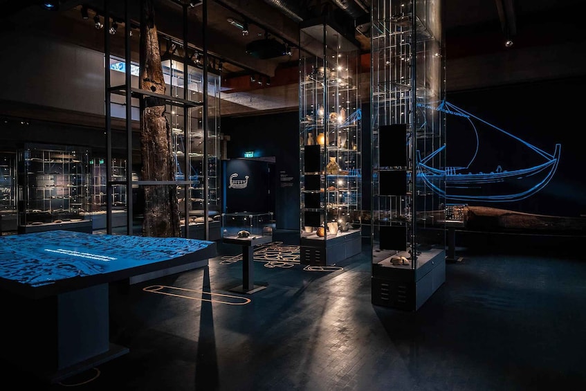 A museum exhibit with glass display cases, a large tree trunk, and a neon boat. 5
