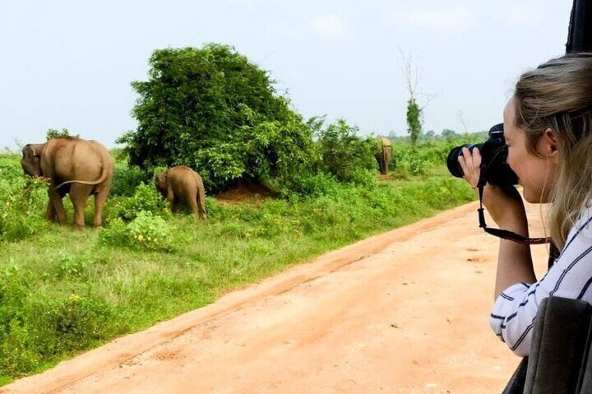 Udawalawe Safari & Transfer to Arugam Bay - Private Day Trip 4