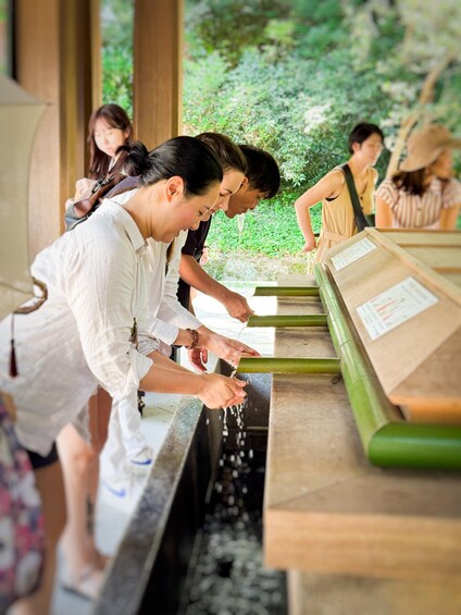 Quiet Tokyo Morning: Meiji Shrine & Forest Reset 1