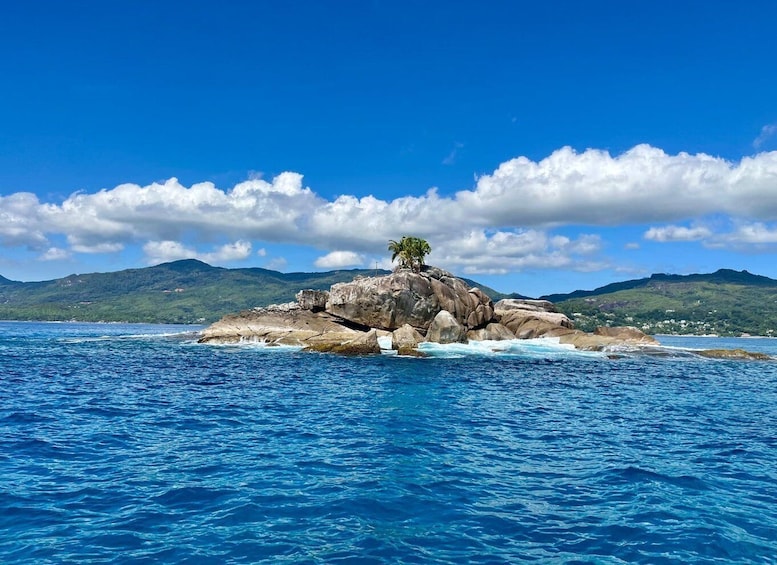 Picture 3 for Activity Mahe : Private West Coast Cruise with Snorkeling 3