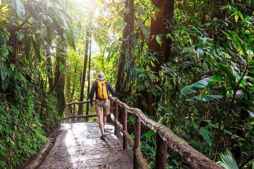 Khao Yai National Park and Waterfalls Tour from Bangkok 1