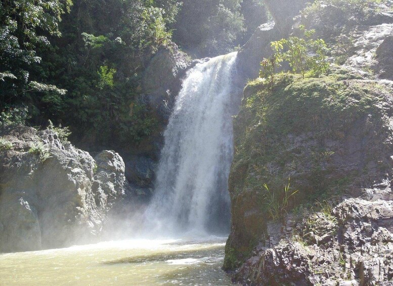 Picture 1 for Activity Jarabacoa: Guided Horseback Ride to Salto Baiguate Waterfall 5
