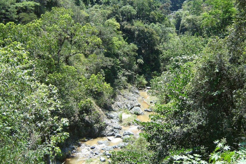 Picture 8 for Activity Jarabacoa: Guided Horseback Ride to Salto Baiguate Waterfall 2