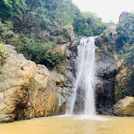 Picture 5 for Activity Jarabacoa: Guided Horseback Ride to Salto Baiguate Waterfall 4