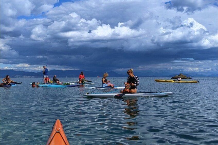 Thessaloniki Stand Up Paddling Adventure 5