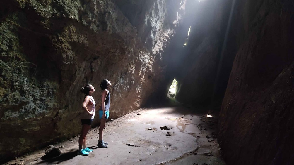 Tijuca National Park and all its wonders! 1