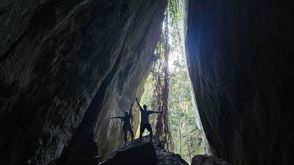 Picture 5 for Activity Tijuca National Park and all its wonders! 5