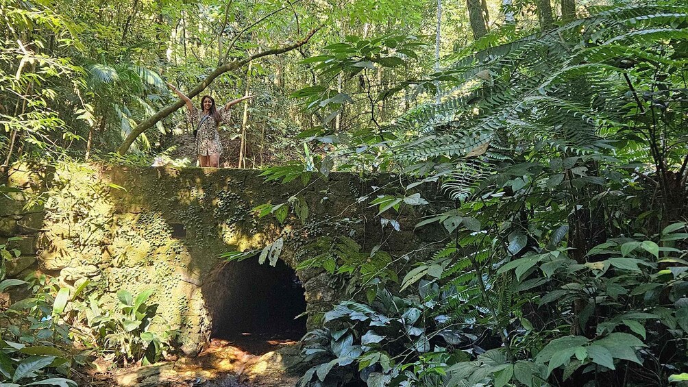 Picture 3 for Activity Tijuca National Park and all its wonders! 2