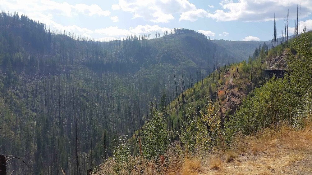 Kelowna: Private Myra Canyon Trestles Scenic Tour 1