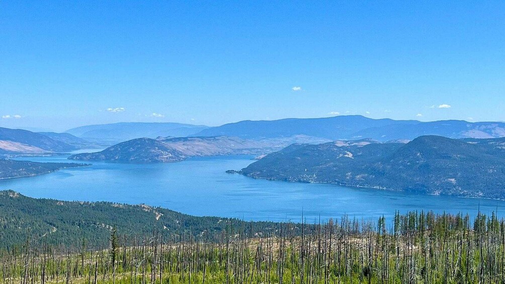 Picture 2 for Activity Kelowna: Private Myra Canyon Trestles Scenic Tour 5