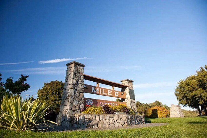 A stone and wooden sign with the word 'MILEO' and a logo. 5