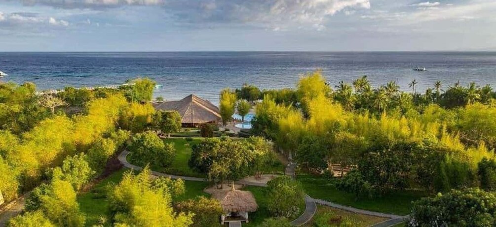 A tropical resort with a pool, a thatched-roof structure, and lush greenery. 5