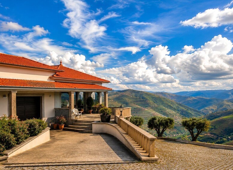 Douro: Quinta Levandeira do Roncão Tour & Wine Tasting 1