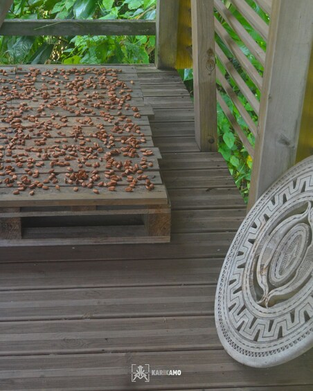 Picture 7 for Activity Cocoa Workshop - Discovery, Hands-on Experience, and Food Tasting in Goyave 3