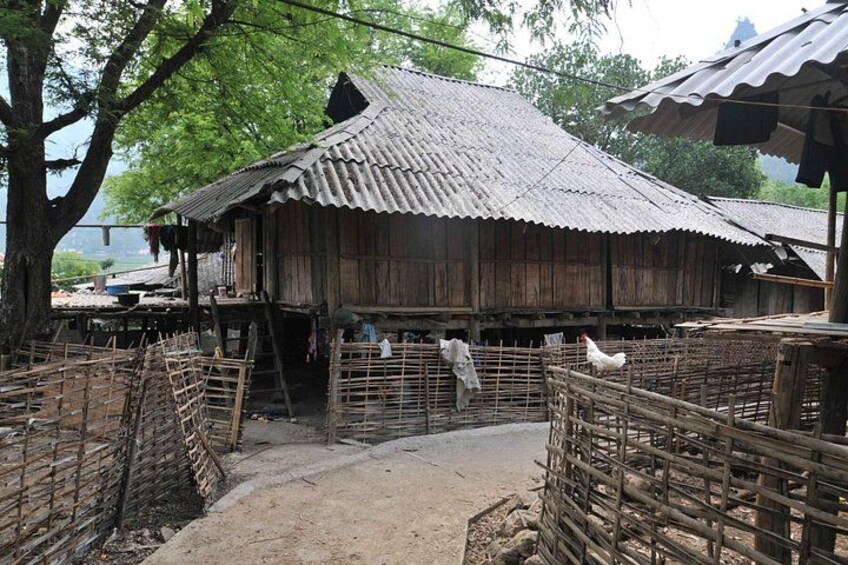 A rustic wooden structure with a corrugated metal roof, surrounded by wooden cages and a tree. 2