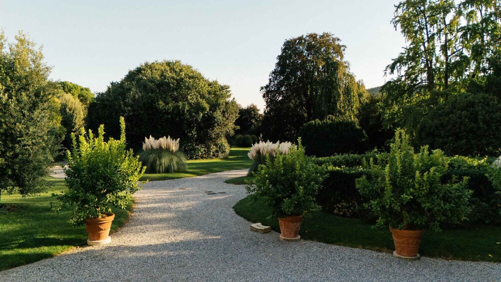 Picture 3 for Activity Villa Togni Gardens: Guided Night Tour 2