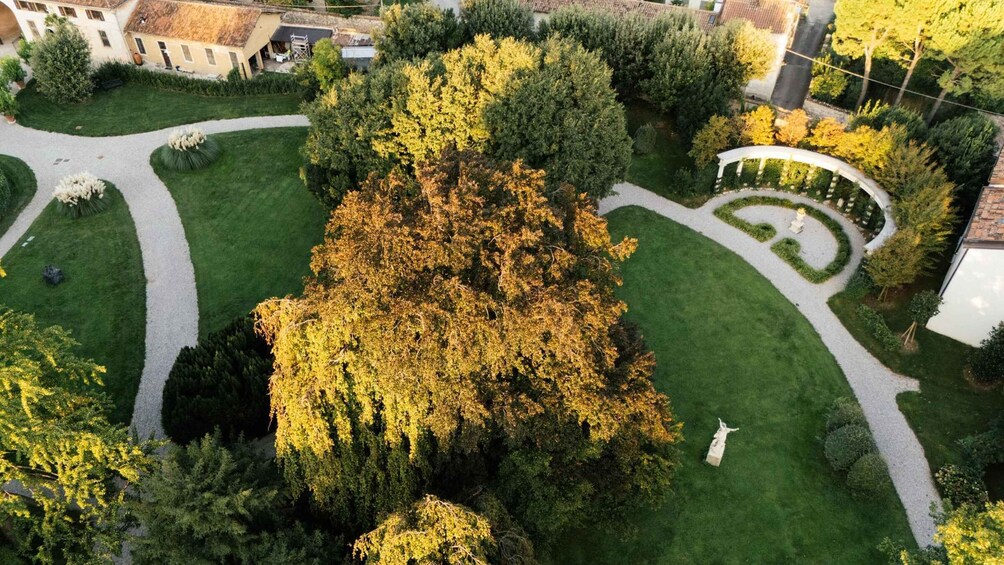 Picture 4 for Activity Villa Togni Gardens: Guided Night Tour 5