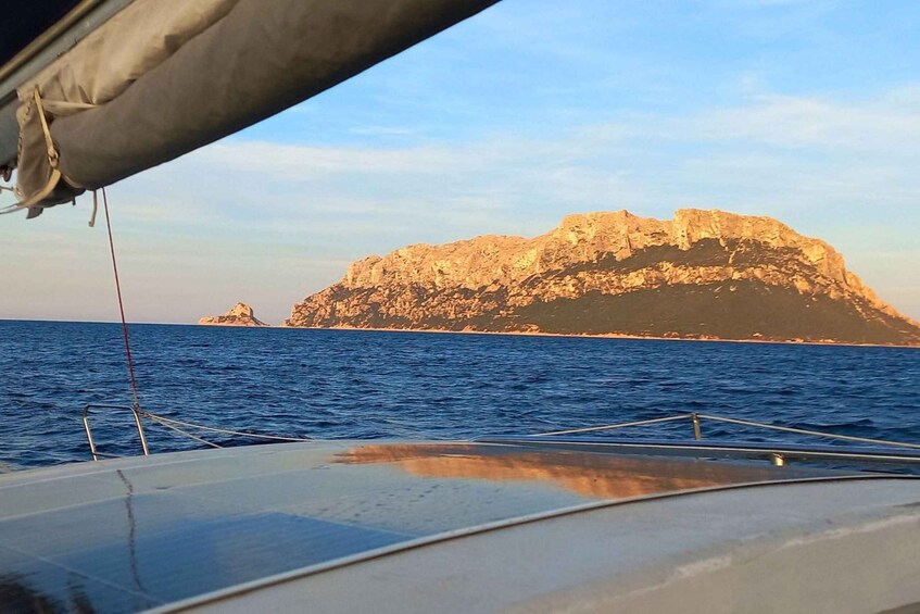 Picture 8 for Activity From Olbia: Sunset catamaran excursion with dolphin watching 3