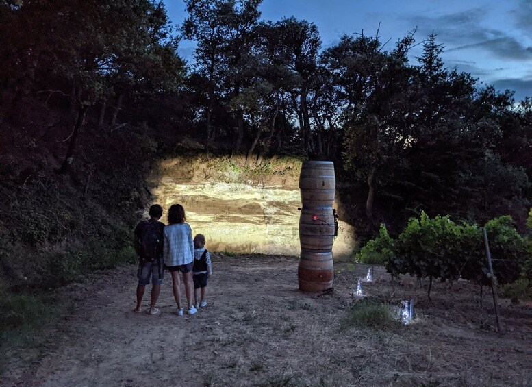 Picture 3 for Activity Rousset les Vignes: Nighttime walk through the vineyards 2