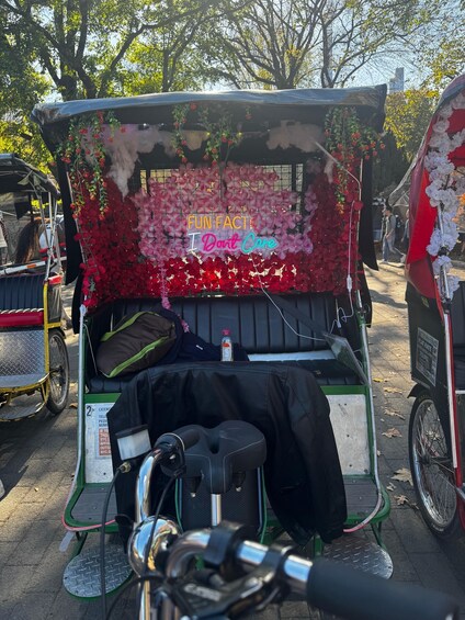 A rickshaw decorated with flowers and a neon sign that reads 'FUN FACT! I Don't Care.' 4