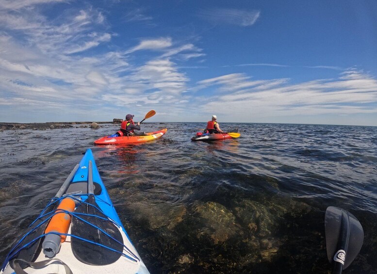 Picture 4 for Activity Northumberland: Kayak & Coasteering Adventure 2