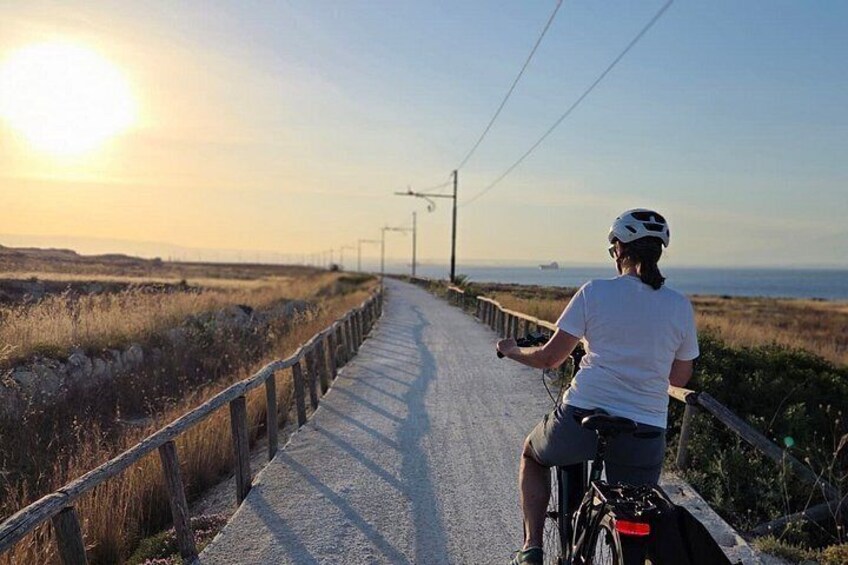 A person riding a bicycle on a paved path with a metal railing on one side, a clear sky, and a distant horizon. 5