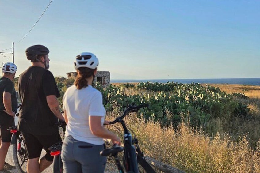 A group of people on bicycles near a cactus field with a clear sky. 1