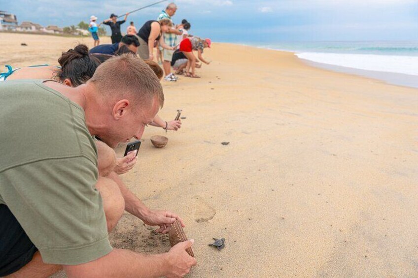 Releasing Turtles During the Sunset 4
