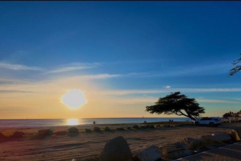 A sunset over a beach with a lone tree and a row of parked cars. 2