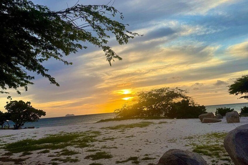 A beach at sunset with a clear sky, a tree, and rocks. 2