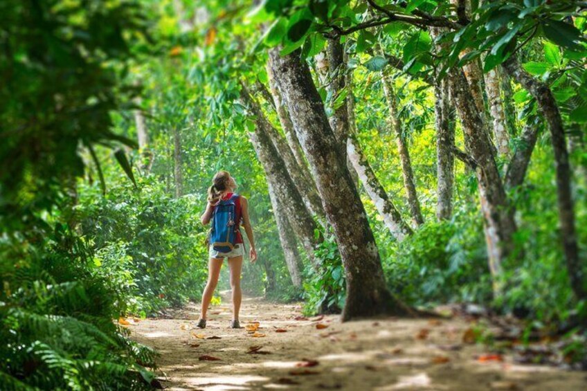 A person hiking on a forest trail surrounded by dense foliage and trees. 5