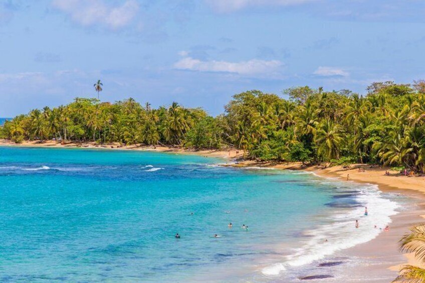 A tropical beach with clear turquoise water, palm trees, and a sandy shore. 4