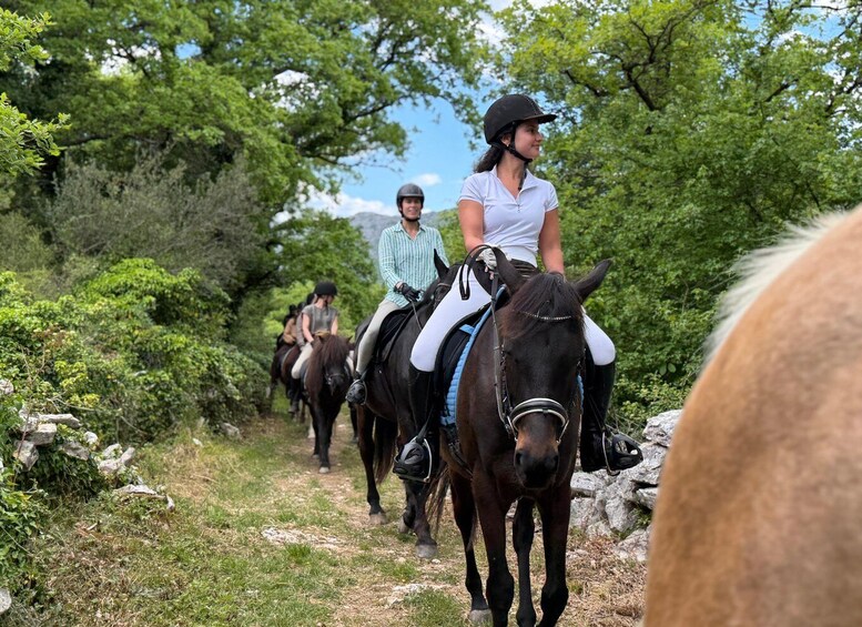 A group of people horseback riding on a trail surrounded by trees and rocks. 1