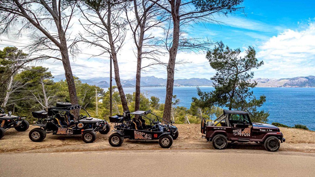 Can Picafort Guided 2-Seater Buggy Tour 3h - Mallorca Manual 1