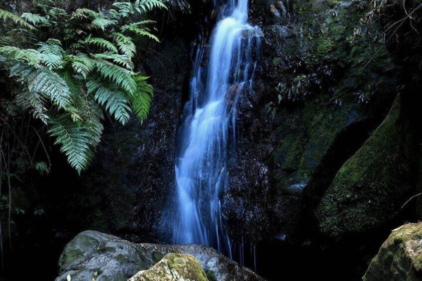 Blue Mountains Active Hike Tour from Sydney No Rides Included 5