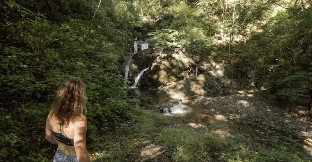 A person standing in a forested area with a waterfall. 3