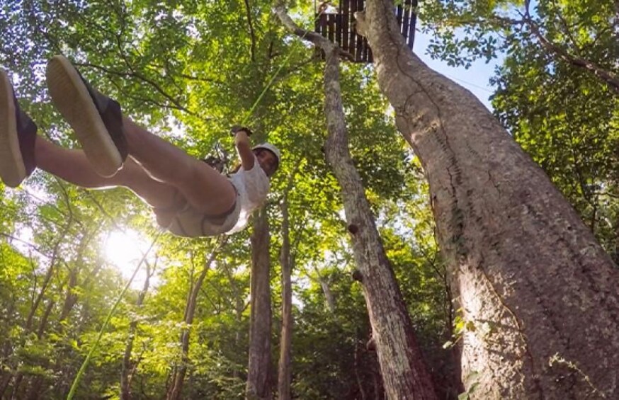 A person swinging on a rope between trees in a forest. 4