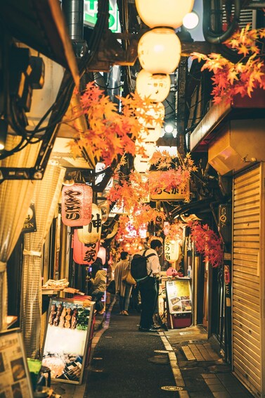 A narrow alley with traditional lanterns and signs, indicating a cultural or historical area. 3