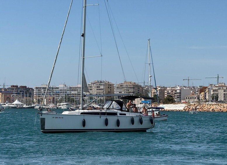 Picture 3 for Activity 3x1 Torrevieja Pack - Cruise Tour + Drink at the Cruise Port + Sunset at the Salinas 2