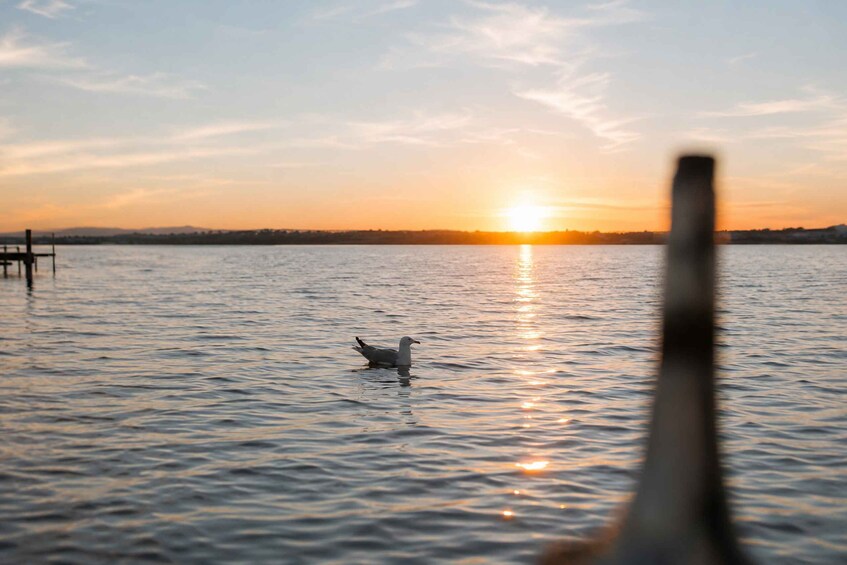 3x1 Torrevieja Pack - Cruise Tour + Drink at the Cruise Port + Sunset at the Salinas 1