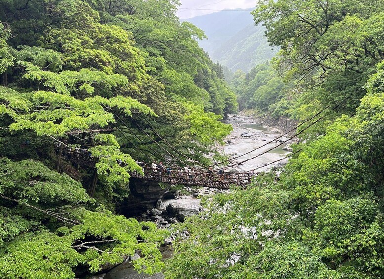 Picture 2 for Activity Tokushima: Private Tour - Japan’s Hidden Iya Valley 2