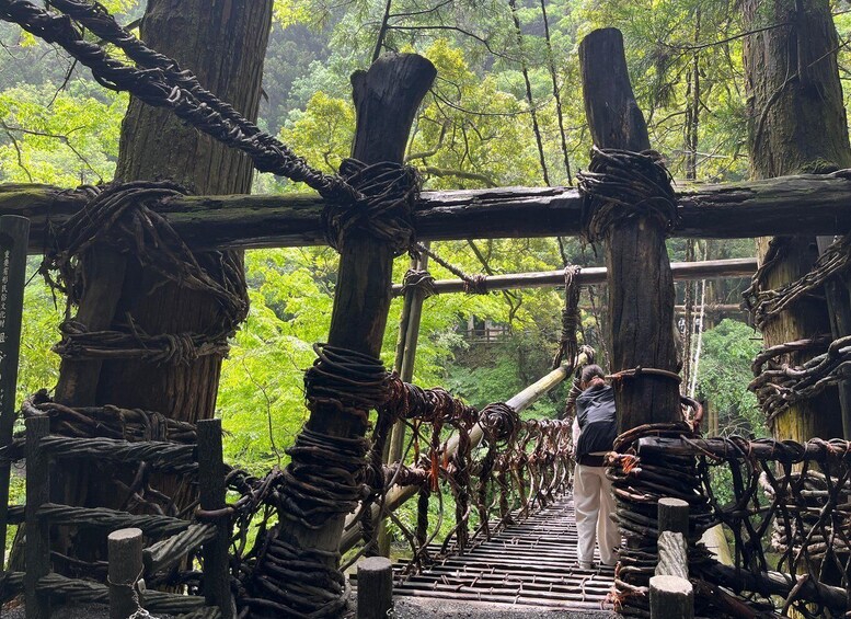 Tokushima: Private Tour - Japan’s Hidden Iya Valley 1