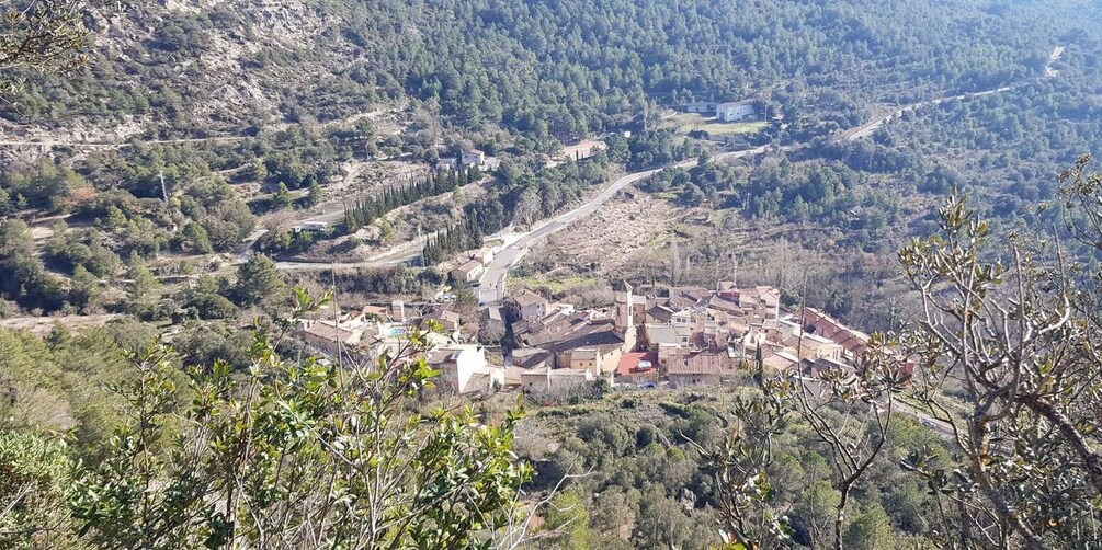 Picture 4 for Activity Arbolí Village: Trekking along the secret trails 3