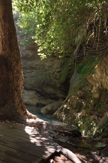 Picture 1 for Activity Rethymno: Private Patsos Gorge Trekking Adventure 2