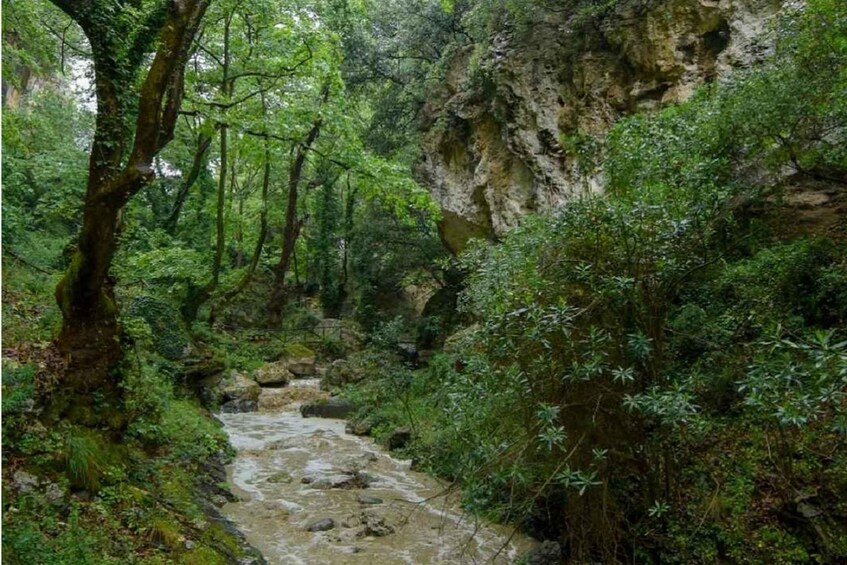 Picture 1 for Activity Rethymno: Private Patsos Gorge Trekking Adventure 3
