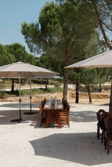 Picture 3 for Activity Lisbon: Bucelas Medieval Ruins Tour with Wine Tasting 2