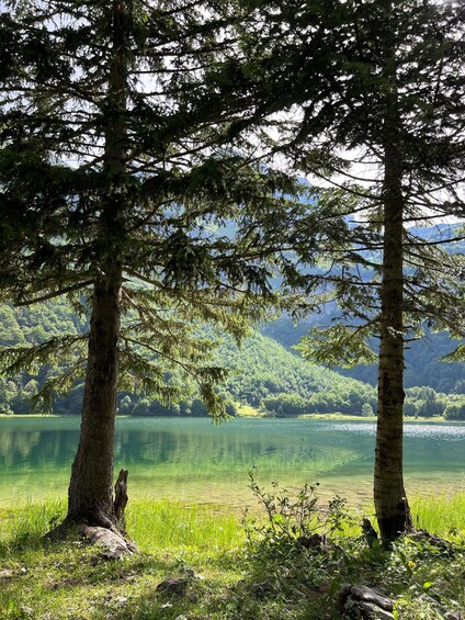 Picture 2 for Activity From Foča: Sutjeska National Park 4WD & Hiking Tour 3