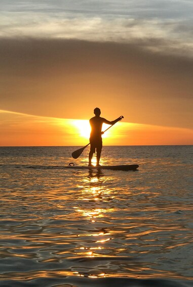 Picture 2 for Activity Côte Bleue: Paddleboard rental and exploration of the coves 1